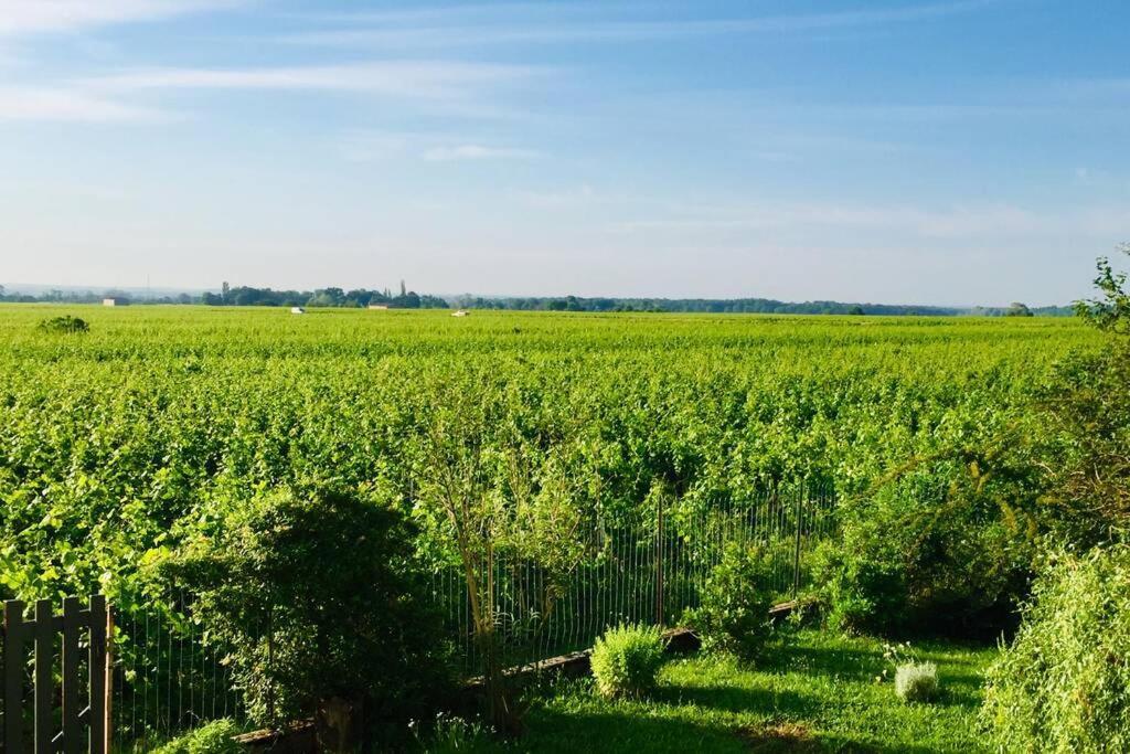 Appartement Avec Vue Sur Les Vignes A Gevrey Экстерьер фото